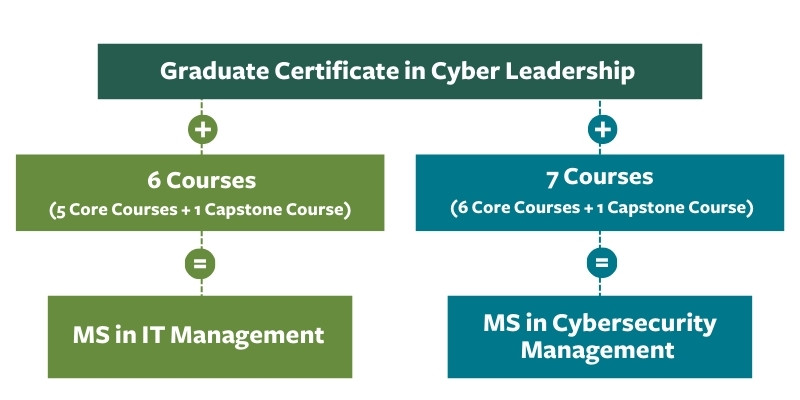 cyber leadership to IT