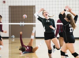 Volleyball players celebrate crushing the opposition